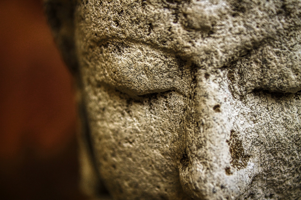 Decoding the Puzzle of Human Mind and Consciousness